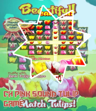 Tulip game